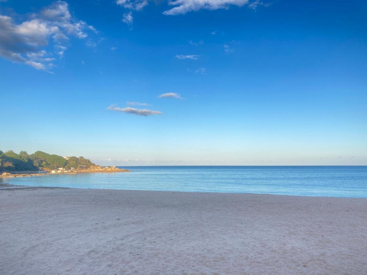 Les Lodges De La Plage U Dragulinu Sari-Solenzara Exterior foto